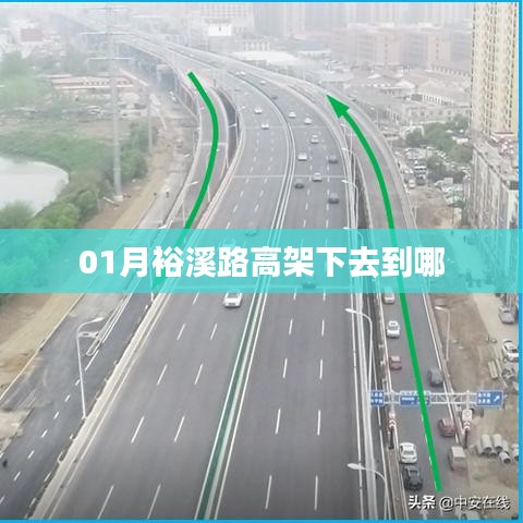 张弓拔弩 第3页