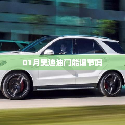 资质证书 第147页