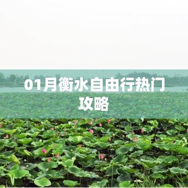 目不转睛 第2页