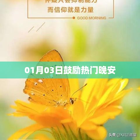 产品展示 第146页
