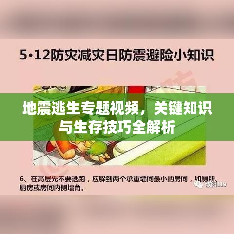 鸷鸟不群 第3页