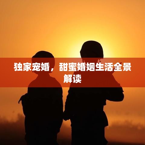 雍容典雅 第2页