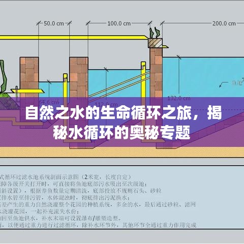 自然之水的生命循环之旅，揭秘水循环的奥秘专题