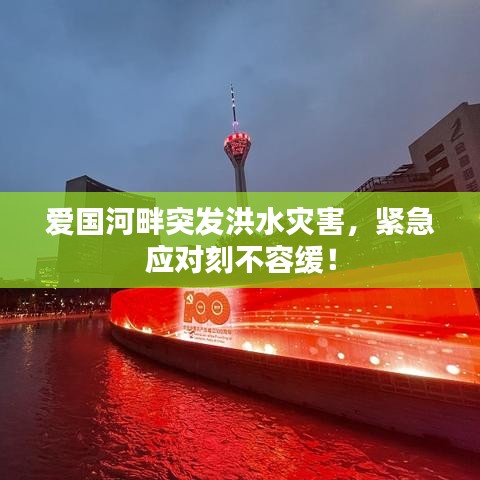 民贵君轻 第2页