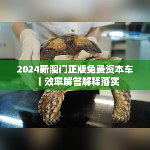 2024新澳门正版免费资本车｜效率解答解释落实