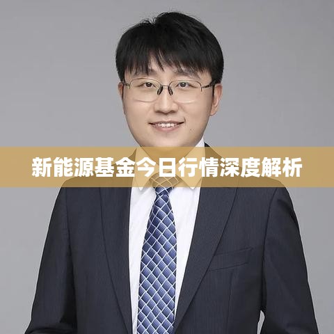 凤凰于飞 第2页