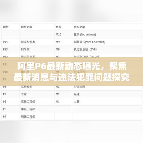 阿里P6最新动态曝光，聚焦最新消息与违法犯罪问题探究