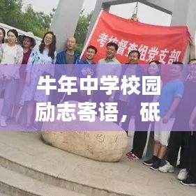 开张圣听 第2页
