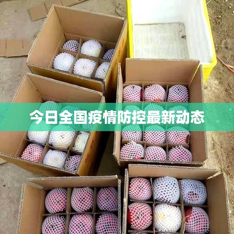走马观花 第2页