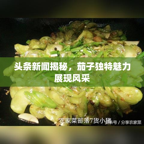 张皇失措 第3页