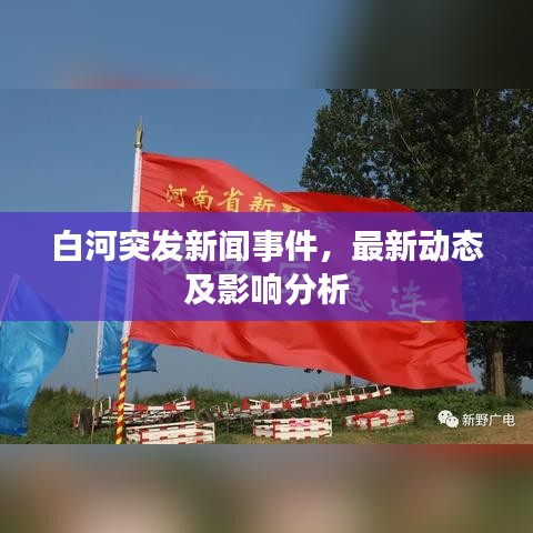 白河突发新闻事件，最新动态及影响分析