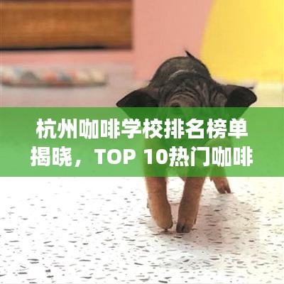 物是人非 第2页