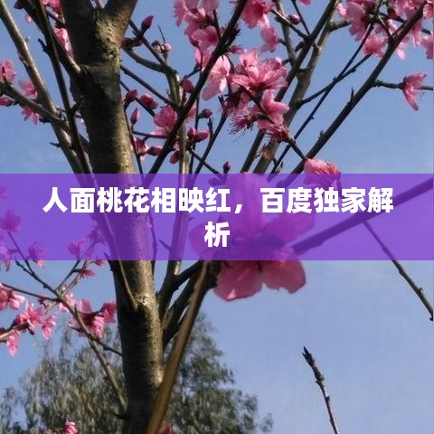 饭来张口 第2页