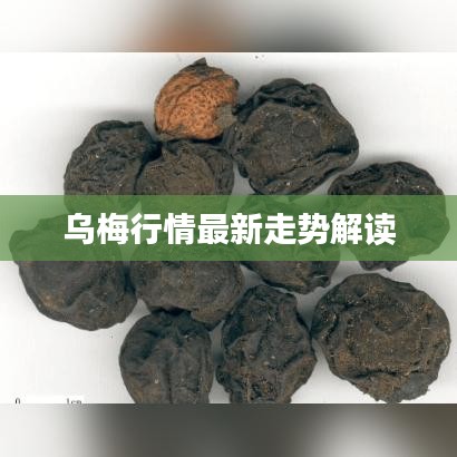 大雪纷飞 第2页