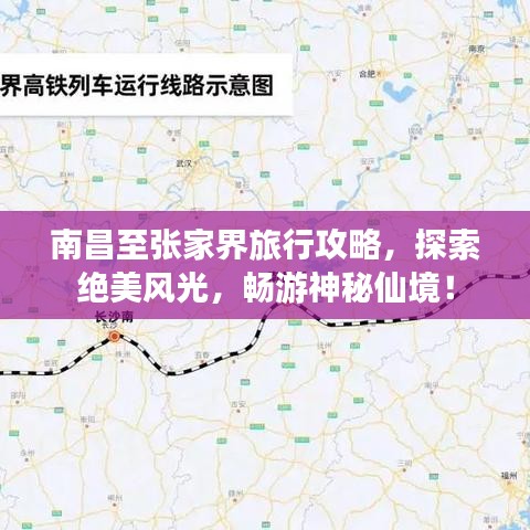 灰飞烟灭 第2页