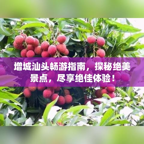 增城汕头畅游指南，探秘绝美景点，尽享绝佳体验！