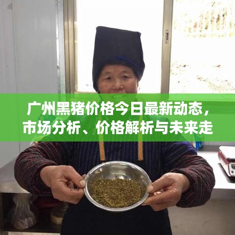 广州黑猪价格今日最新动态，市场分析、价格解析与未来走势预测