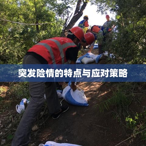 马马虎虎 第2页