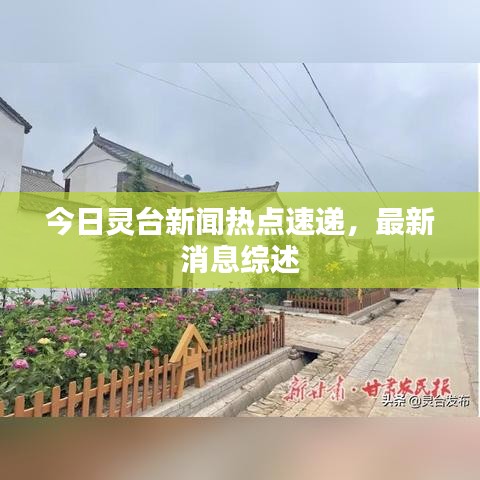 林下风范 第2页