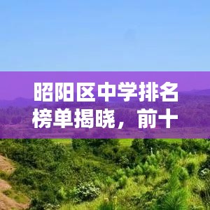 矫揉造作 第2页