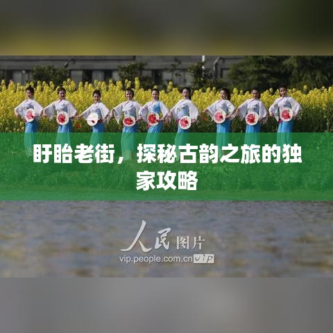 洵属可贵 第2页