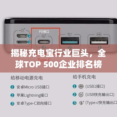 惊弦之鸟 第2页