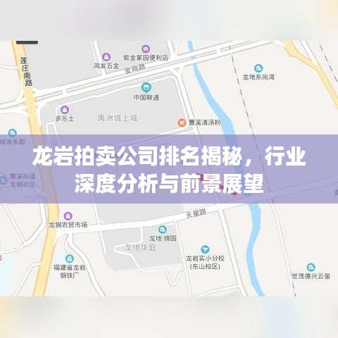 龙岩拍卖公司排名揭秘，行业深度分析与前景展望
