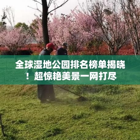 全球湿地公园排名榜单揭晓！超惊艳美景一网打尽