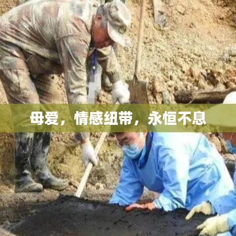 母爱，情感纽带，永恒不息