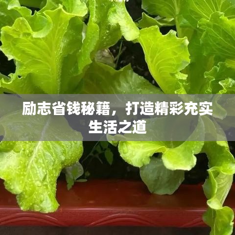 励志省钱秘籍，打造精彩充实生活之道
