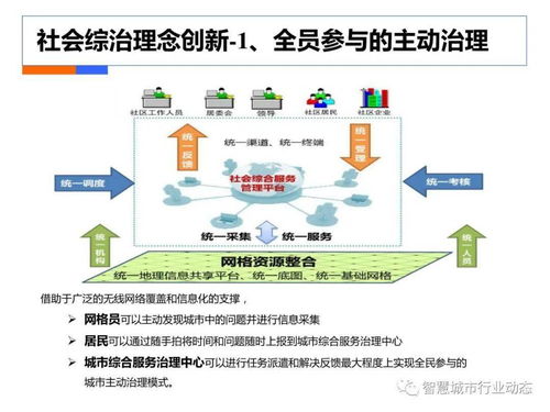 露娜新版本,迅捷解答计划落实 SE版_v3.521
