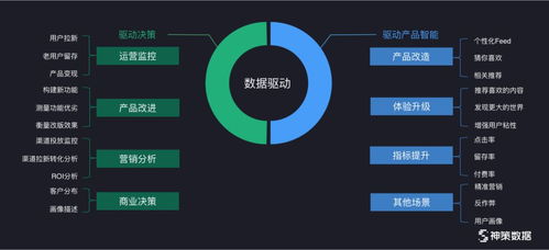 下载官方v,全面实施策略数据 挑战版_v8.236