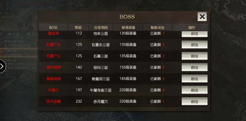 传奇游戏哪个版本好玩？标杆之选，实践性执行计划_4DM_v10.631