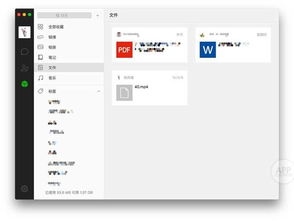 妇聊官方下载在Mac上的使用及体验评测，数据导向实施策略MP_v4.100