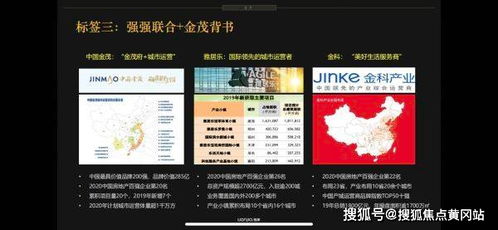 帝王雷最新版本是多少？高效方法解析Elite_v3.138——提升个人与团队效率的不二之选