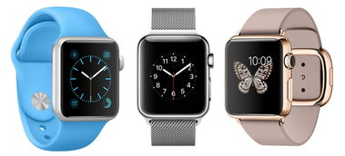 网络版本微信,全面执行分析数据 watchOS_v3.154