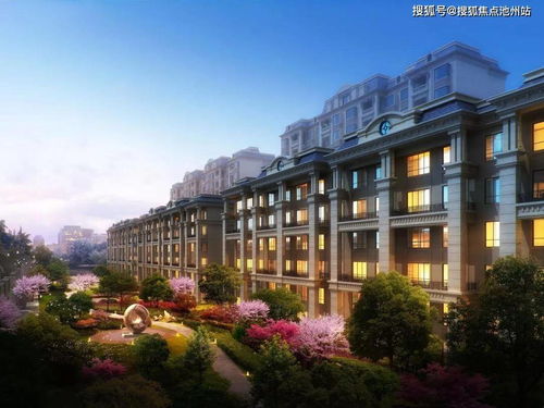 cibn官方下载,统计评估解析说明|nShop_v6.502