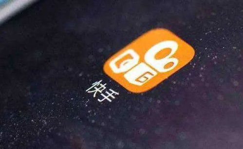快手2018版本,可持续执行探索 限量版_v3.168
