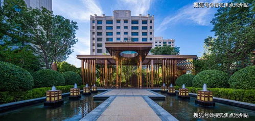 g家官方下载,持久性策略解析_1440p_v8.902