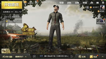 刺激战场官方下载,深度应用解析数据_尊享版_v5.250