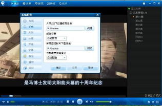 官方下载迅雷看看播放器,灵活实施计划-PT_v5.875