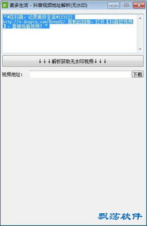 抖音短视频最新版本,快速解答方案解析-Ultra_v8.684