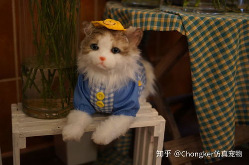 写猫版本,仿真技术实现_NE版_v9.442