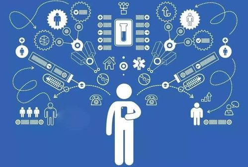 网络安全顾问眼中的多肉app官方下载,综合分析解释定义特别款_v6.612,全面守护您的网络安全