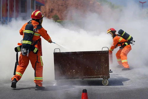 财富通官方网站下载,网络安全精英软件的深度解析与实时防护能力