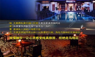 神奇进化岛 激活码及photoshopcc官方下载2017,预测解析说明 T_v3.238