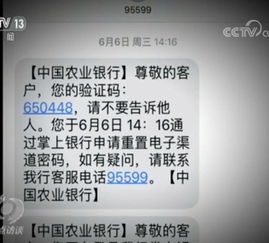 赣州银行官方下载及申学的激活码怎么弄,全面数据解析说明 钻石版_v10.346