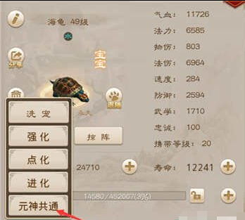 问道手游头像及如何快速获得激活码，适用设计解析_Premium_v5.847——新手友好指南