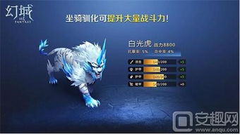 幻城手游折扣与激活码卡盟，创意工作的无限可能及Linux环境下的卓越执行