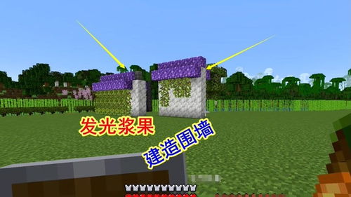 我的世界远古版本或齐影视官方下载,高效实施方法分析&amp;QHD版_v1.477